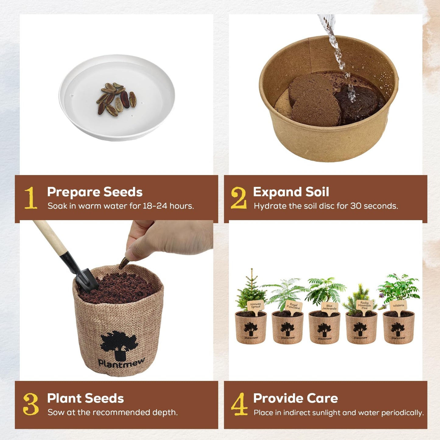 Christmas Gifts & Crafts for Adults - Bonsai Tree Starter Kit with 5 Unique Japanese Trees | Complete DIY Gardening Kit for Birthday | Gifts for Women, Men, Mom, Dad, Plant Lovers