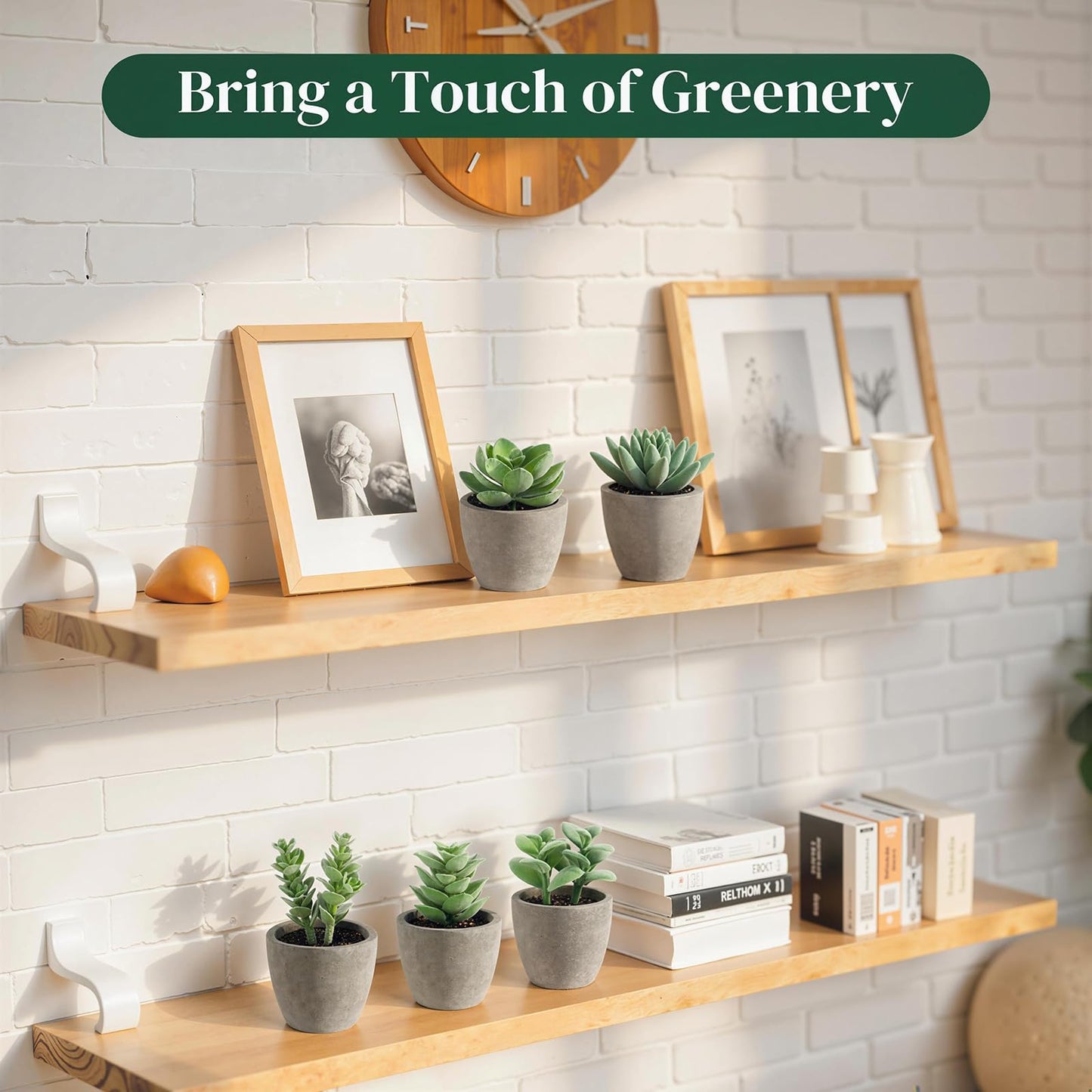 DomeStar Set of 6 Artificial Succulent Plants Potted, Assorted Decorative Faux Succulent Potted Fake Cactus Cacti Plants with Pots