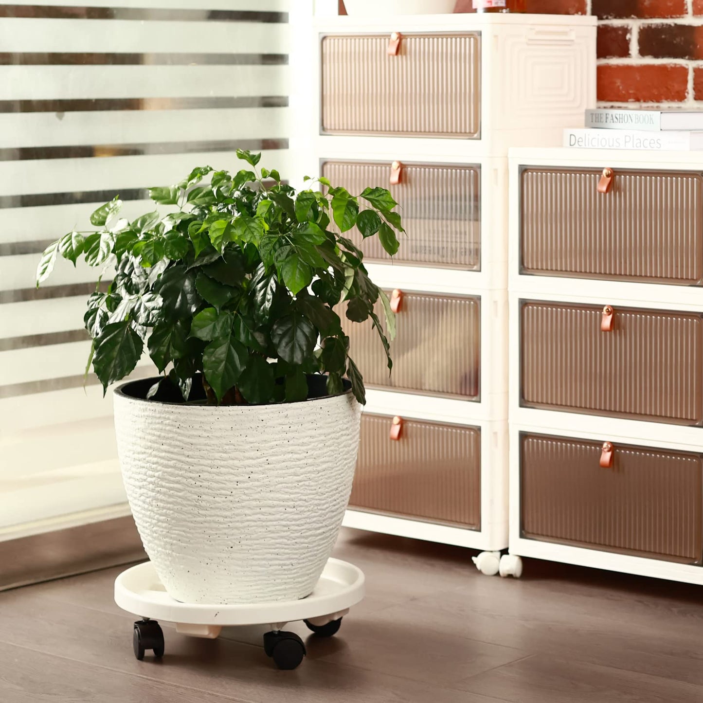 5 Pakcs Large Plant Caddy with Wheels 15.8" Rolling Plant Stands Heavy-duty Plastic Plant Roller Base Pot Movers Plant Saucer on Wheels Indoor Outdoor Plant Dolly with Caster Tray Coaster White