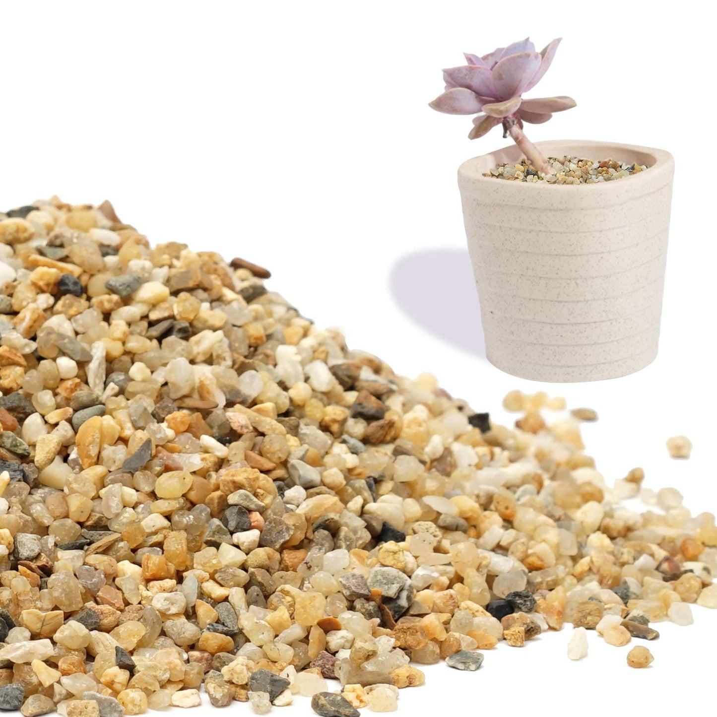 Coarse Sand Stone - Succulents and Cactus Bonsai DIY Projects Rocks, Decorative Gravel for Plants and Vases Fillers，Terrarium, Fairy Gardening, Natural Stone Top Dressing for Potted Plants.