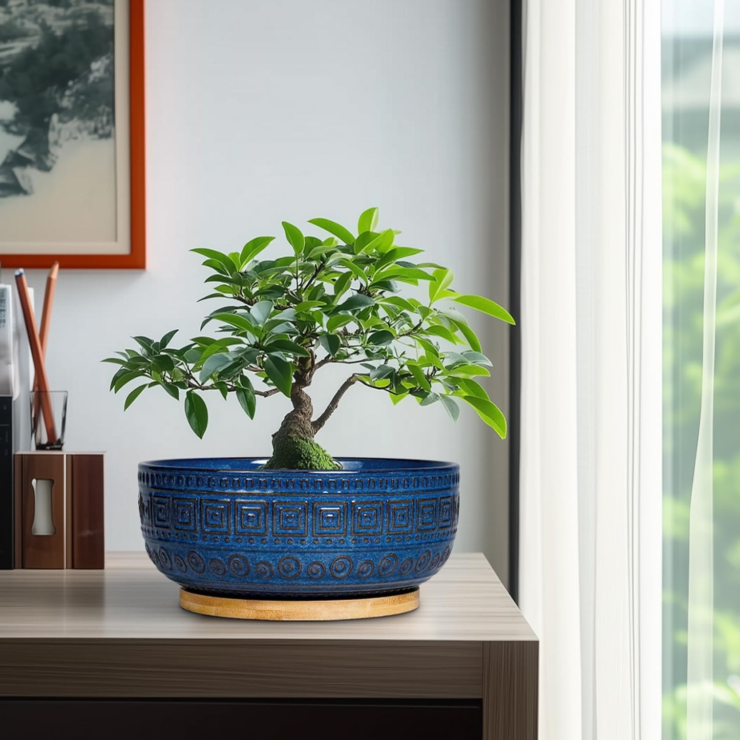 G EPGardening Bonsai Pots 8 Inch - Ceramic Succulent Pots, Round Planter for Indoor Plants, Modern Outdoor Planter with Drainage and Plant Saucer, Boho Home Decor, House Warming Gifts New Home, Blue
