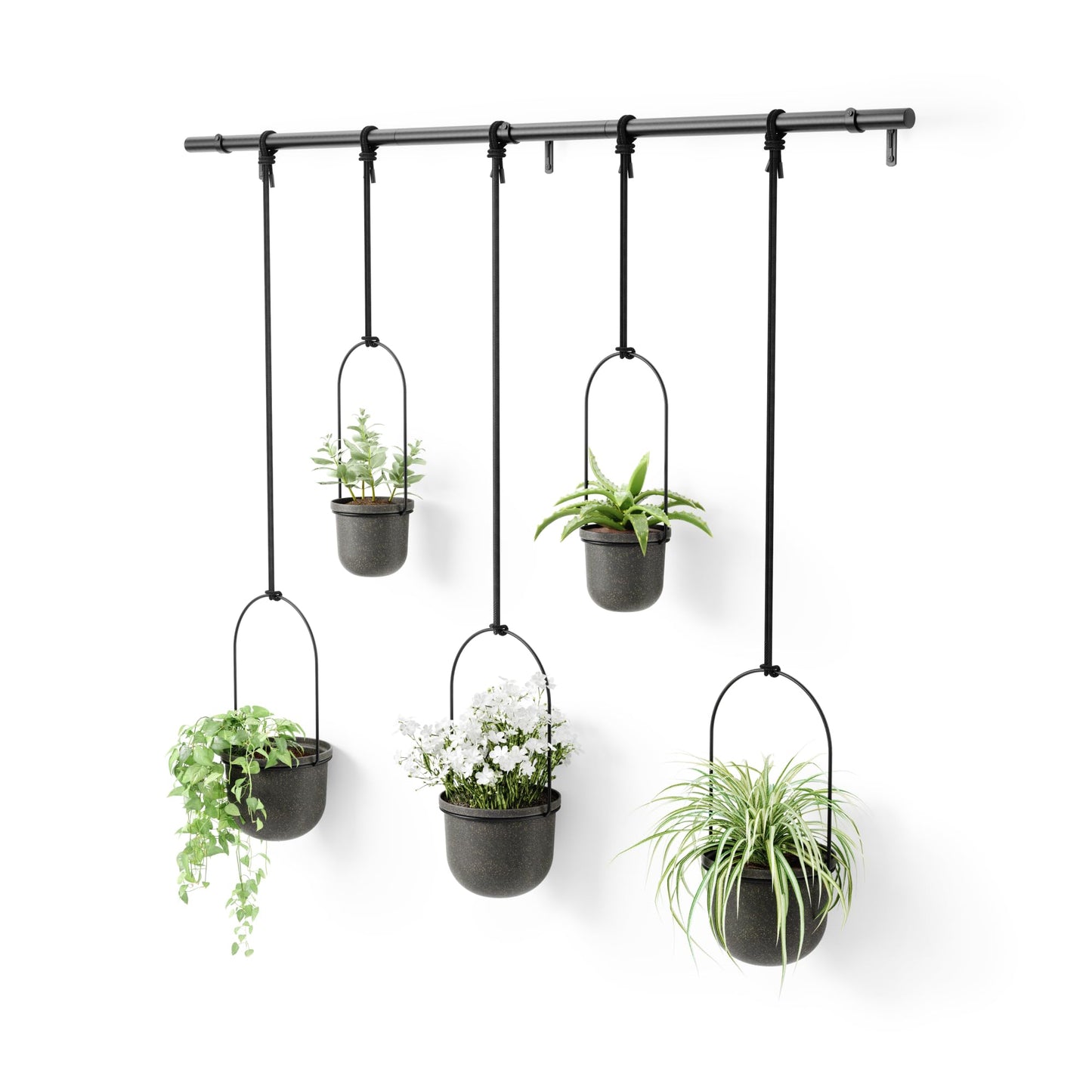 Umbra Triflora Hanging Planter for Window, Indoor Herb Garden, Set of 5, Black