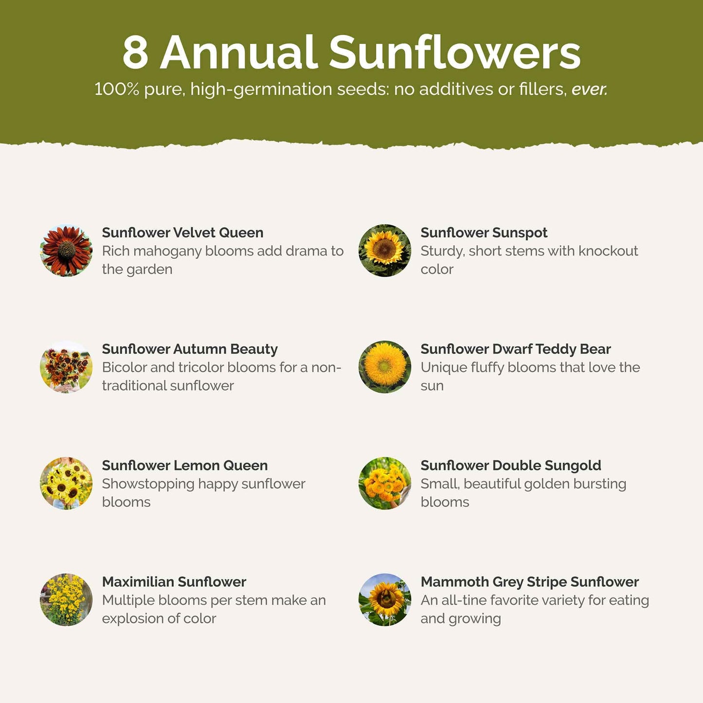 Eden Brothers Sunny Flower Mixed Seeds for Planting, 1 lb, 480,000+ Seeds with Ox-Eye, Maximilian, Dwarf Sunspot Sunflower | Attracts Pollinators, Plant in Spring, Zones 3, 4, 5, 6, 7, 8, 9, 10