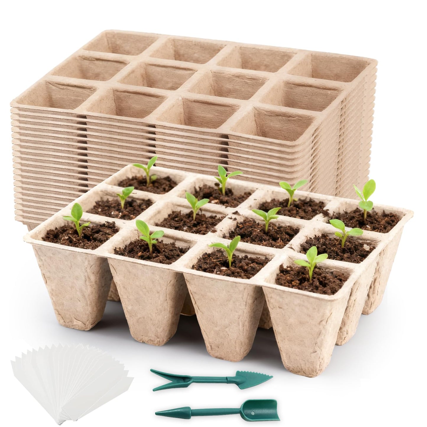 Hanmsen Seed Starter Tray,240 Cell Biodegradable Peat Pots Seed Starter Kit,Organic Germination Trays for Vegetable Flower Seedlings with 20 Plant Labels & 2 Garden Tools -20 Pack