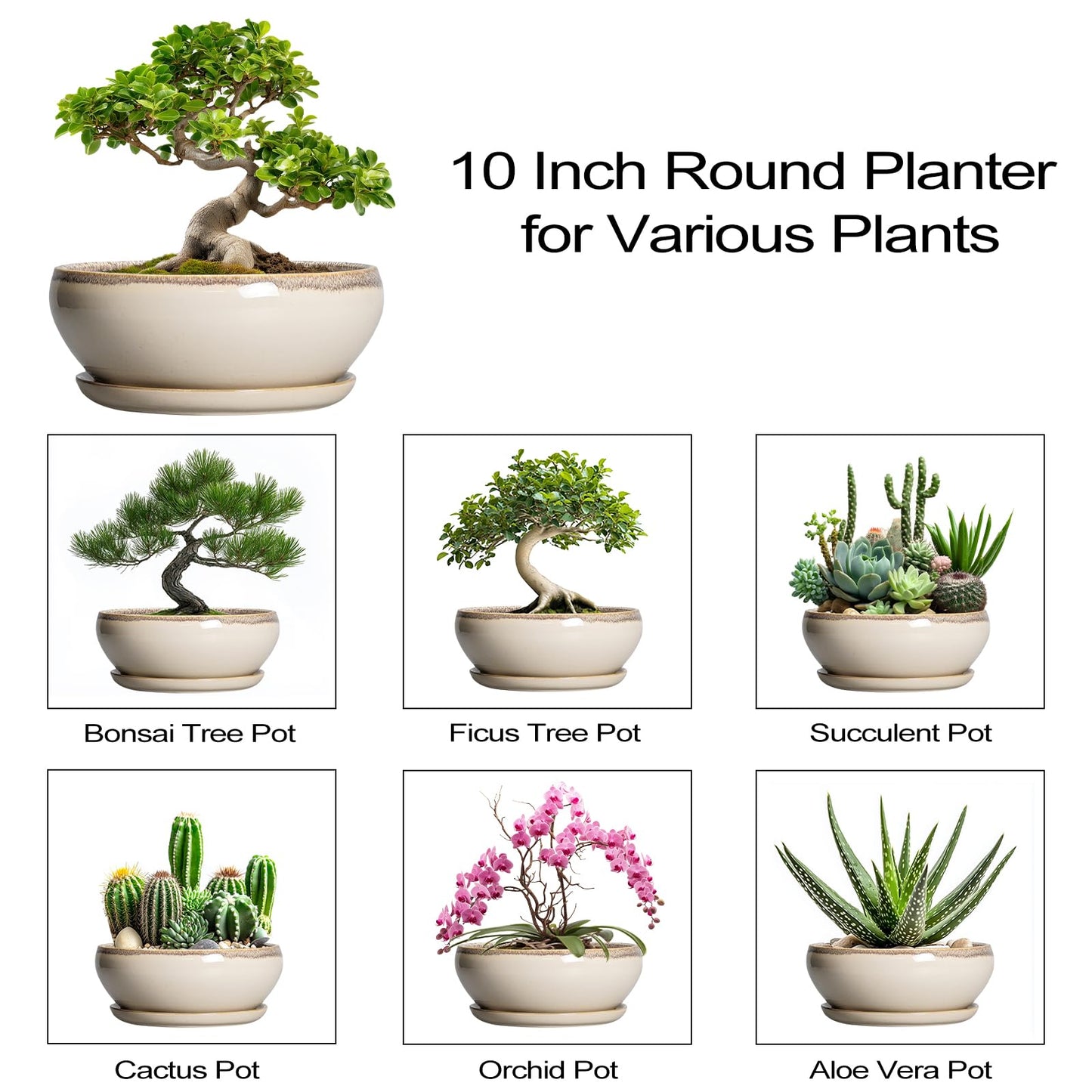 SQOWL Bonsai Tree Pots - 10 Inch Ceramic Succulent Pots, Round Shallow Planter with Drainage Hole and Tray, Bowl Planter for Indoor Outdoor Plants Flowers, Room Decor, Garden Gifts, Beige