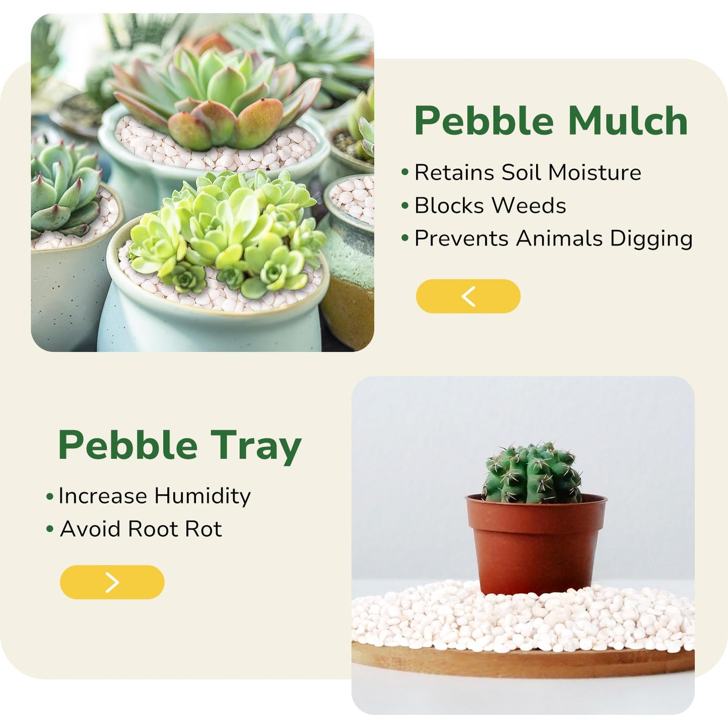 GreatBuddy 10-lb Decorative Rocks for Indoor Plants, 3/8" White Pebbles, Small Rocks for Potted Plants, Succulent, Vases, Aquariums, Fish Tanks, Garden Landscaping, Natural Polished