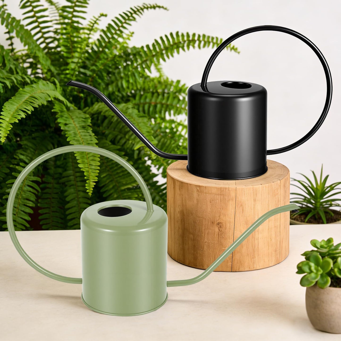 Plant Watering Can, 50 oz / 1500 ml Stainless Steel Metal - Modern Decorative with Long Spout for Indoor Potted Plants, Bonsai, Garden Flowers, Black