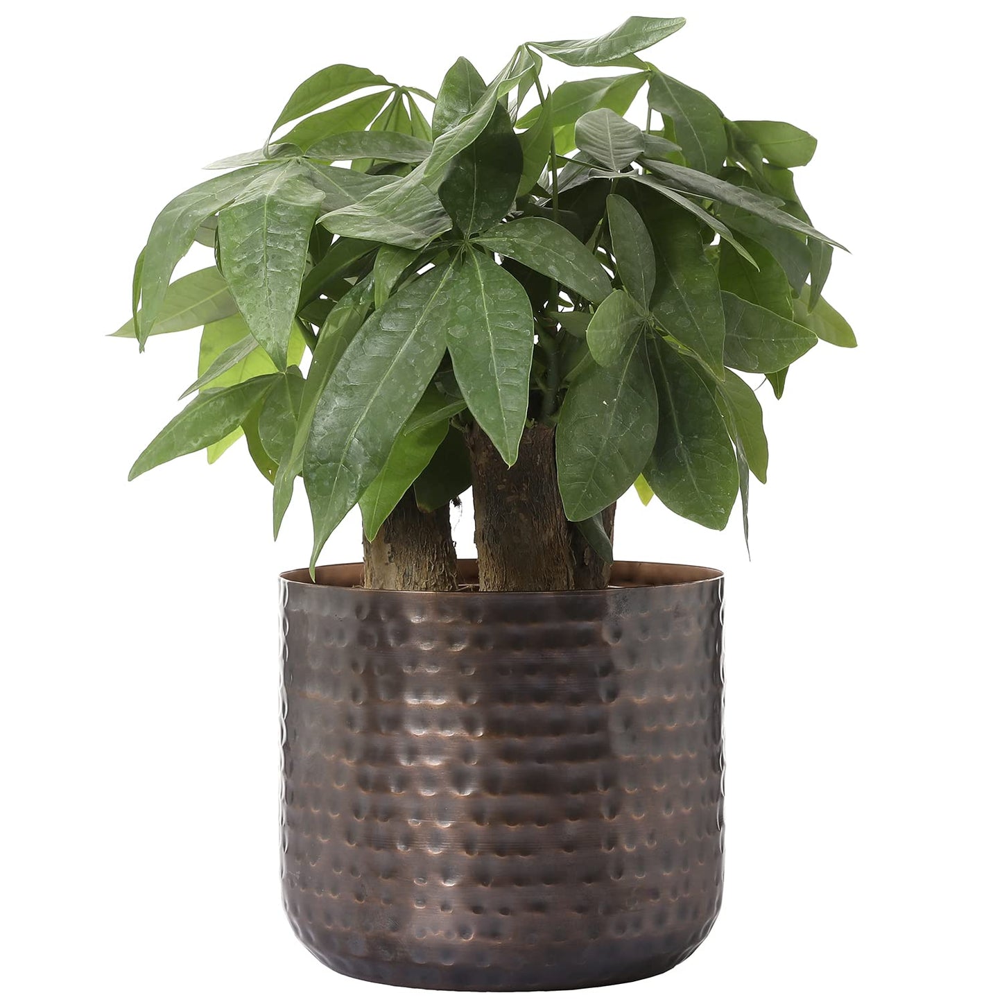 MyGift 6 Inch Vintage Copper Tone Metal Vase, Flower Pot with Hammered Texture, Cylindrical Indoor Succulent Plant Container - Handcrafted in India