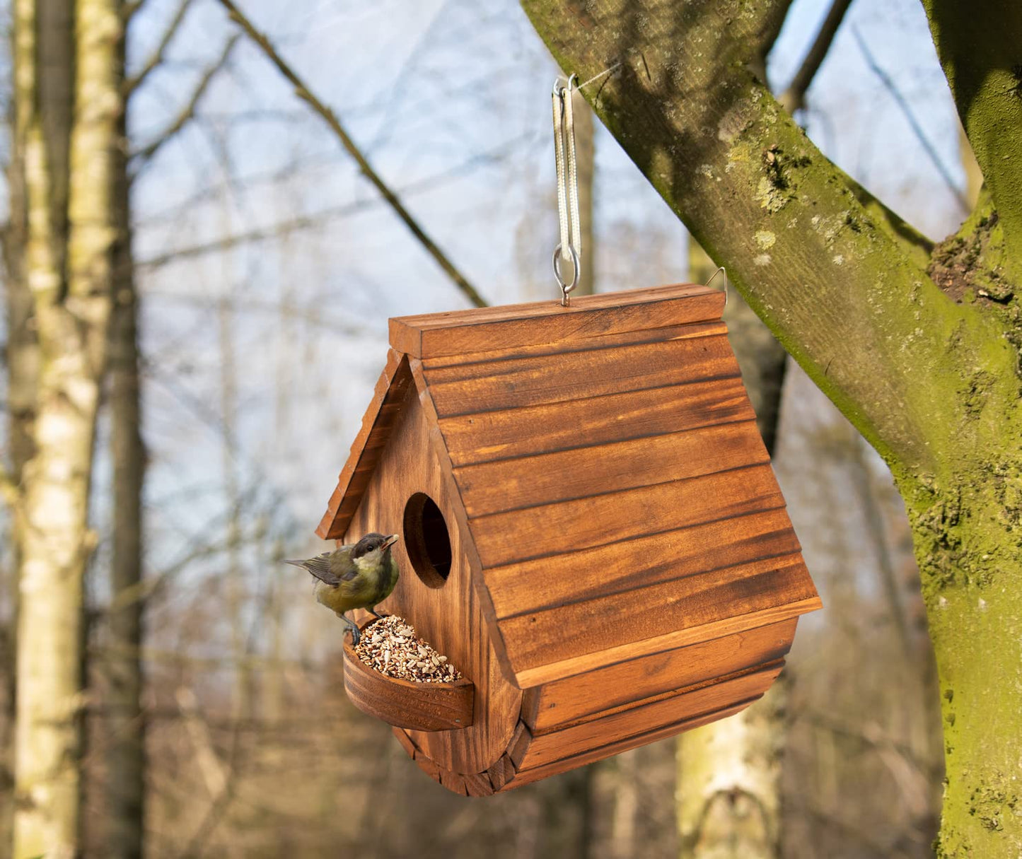 Set of 2 COLEBA Bird Houses for Outside,Outdoor Bird House Bird Families Bluebird Finch Cardinals Hanging Birdhouse for Garden