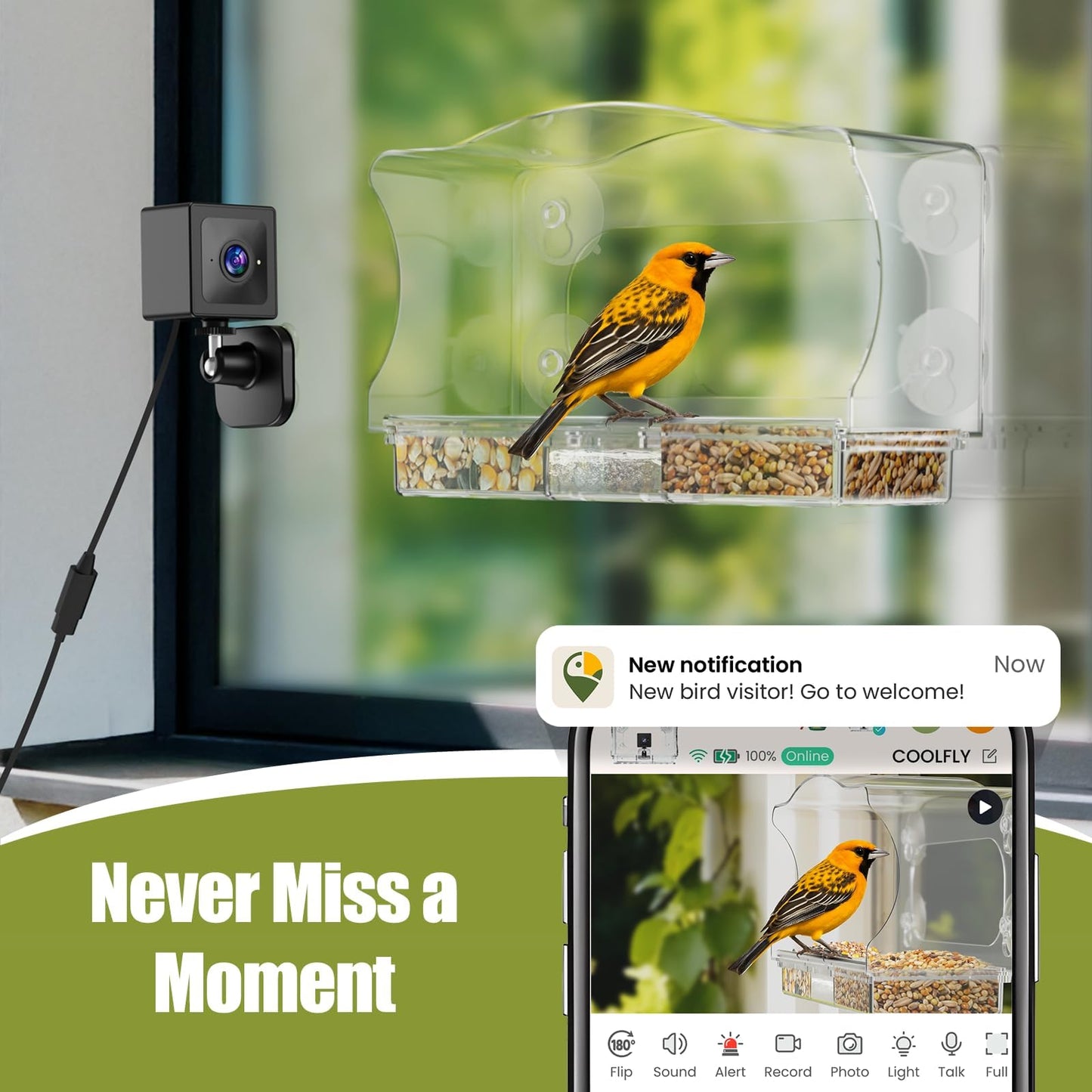 Freeseason Waterproof Smart Bird Feeder Camera with AI ID, 2K HD Glare-Free Video. All-Weather Outdoor Window Mount. Unique Gifts for Elderly Parents, Kids, Birding Lovers & Gardeners
