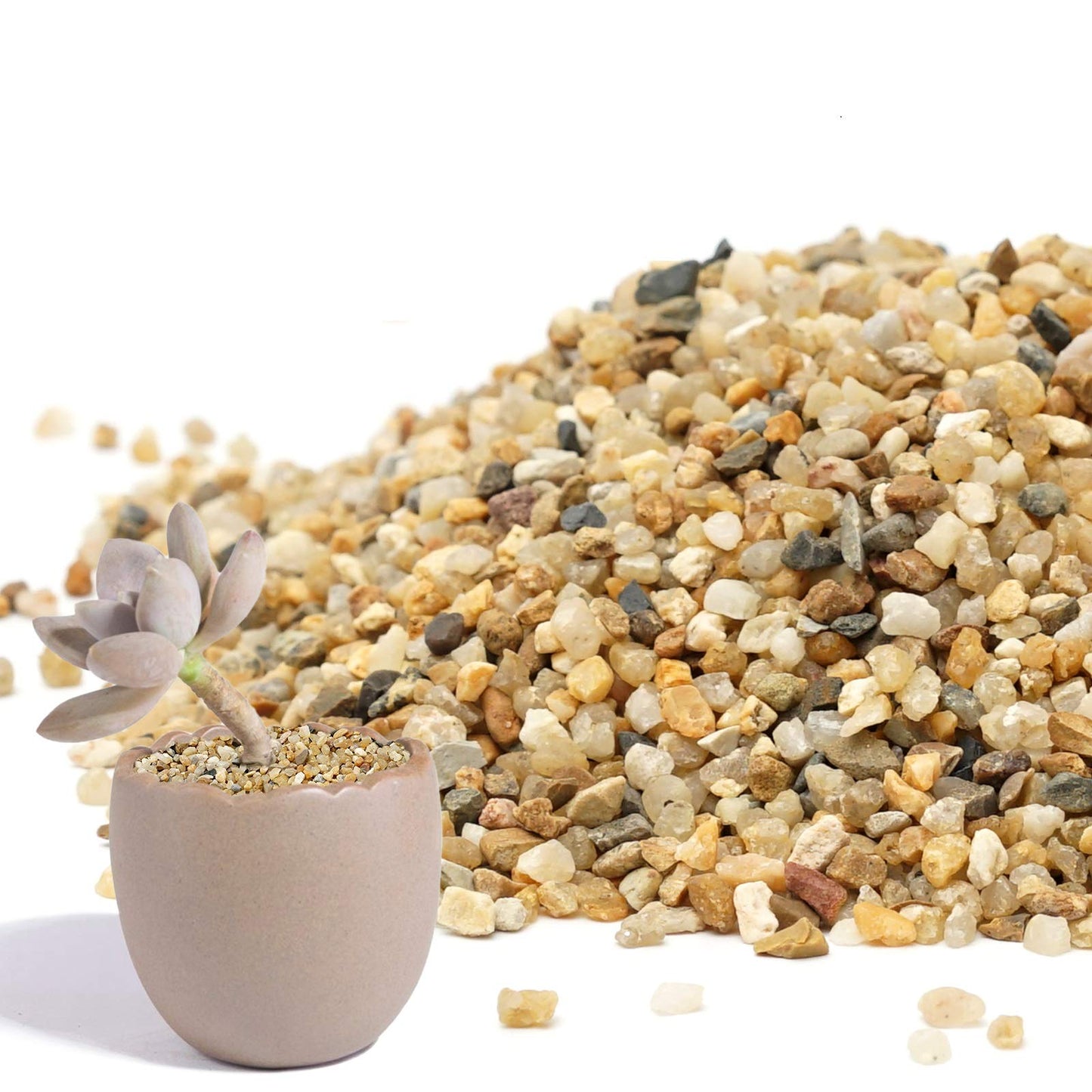 Coarse Sand Stone - Succulents and Cactus Bonsai DIY Projects Rocks, Decorative Gravel for Plants and Vases Fillers，Terrarium, Fairy Gardening, Natural Stone Top Dressing for Potted Plants.