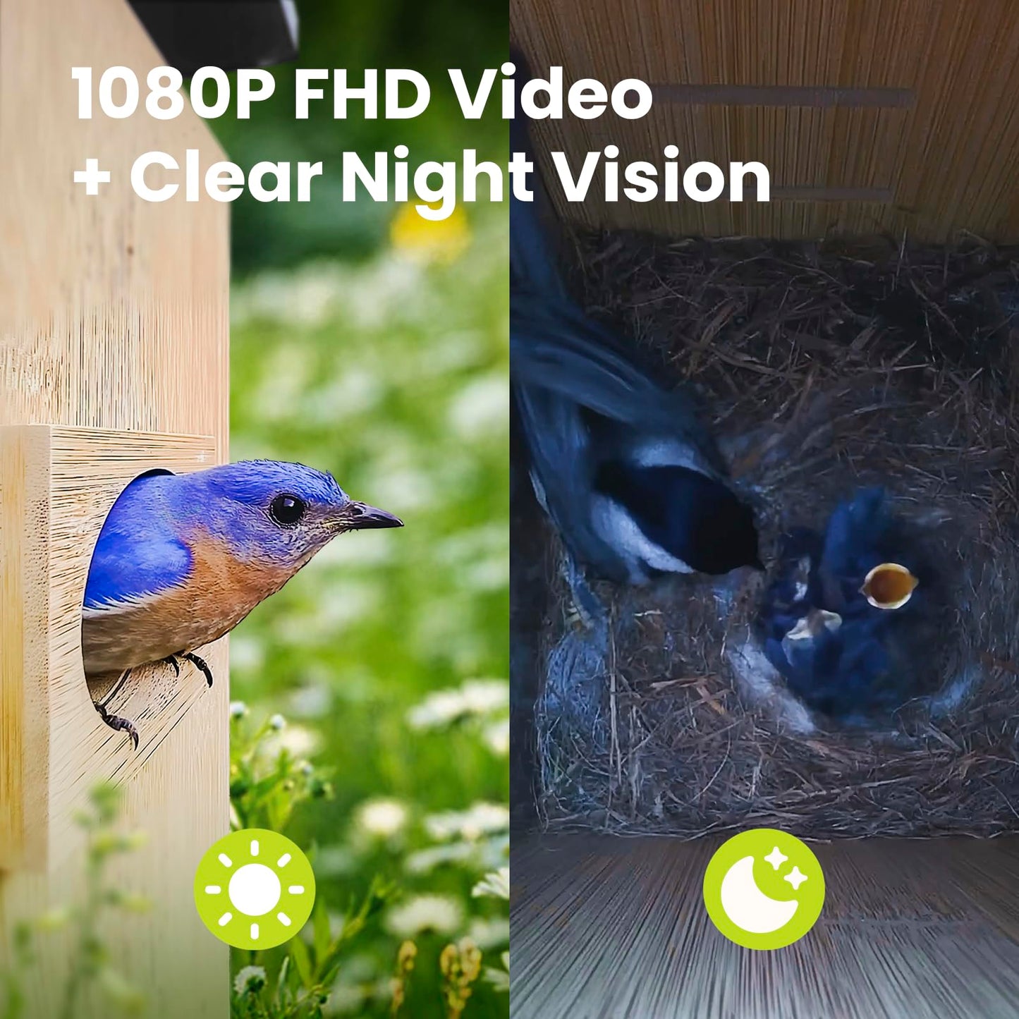 Birdfy Smart Bird House with Cameras 2025 New Version,1080P Dual-Cam, Remote Control,Solar Powered, AI Identify, Wireless Outdoor Watch Bluebird Cardinal Nesting Story in Realtime, DIY Gift (Bamboo)