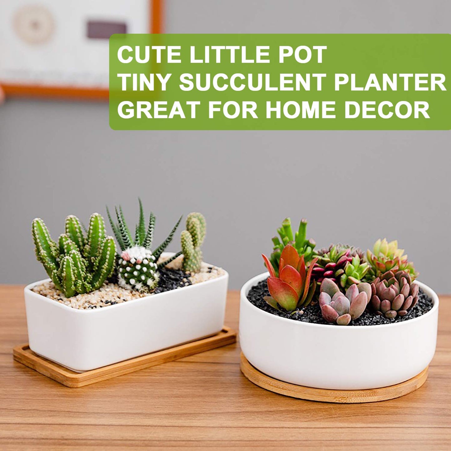 DeeCoo Succulent Pots, White Ceramic Flower Succulent Planters Pot with Bamboo Tray, 1 Rectangle Flower Pot + 1 Round Flower Pot 6.5" Drainage Hole for Cactus