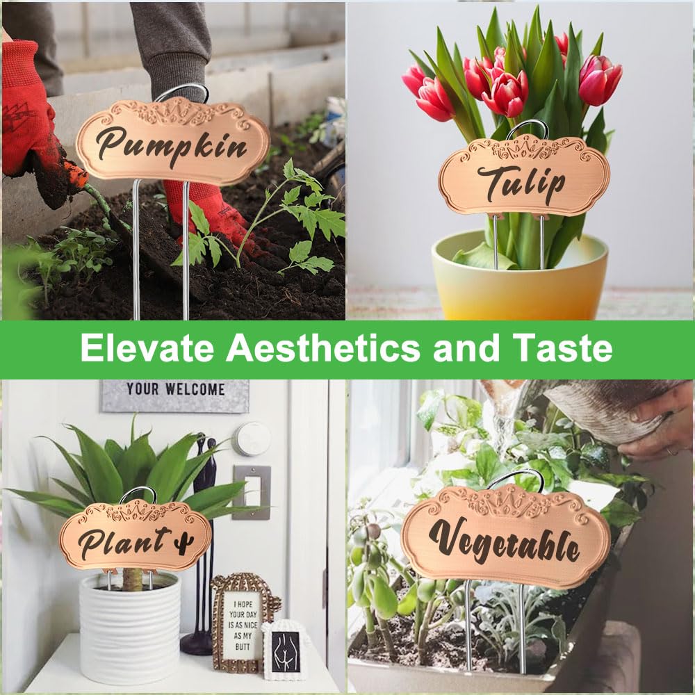 TCYPUHL Metal Plant Labels,Tall Outdoor Garden Markers for Flower, Fruit and Vegetable, 304 Stainless Steel Weatherproof Signs (25 Packs, 4" x 1.9", Gold)