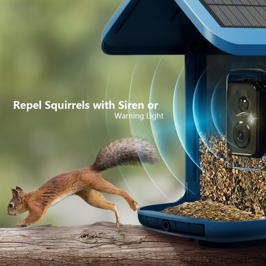Bird Feeder with Camera Solar Powered : Smart Camera Bird Feeder 2K Live Feed Cam for Outdoor Backyard - Ai Identify Auto Capture Videos Pictures, Gifts for Birdlover Mom Dad, 2.4GHz WiFi