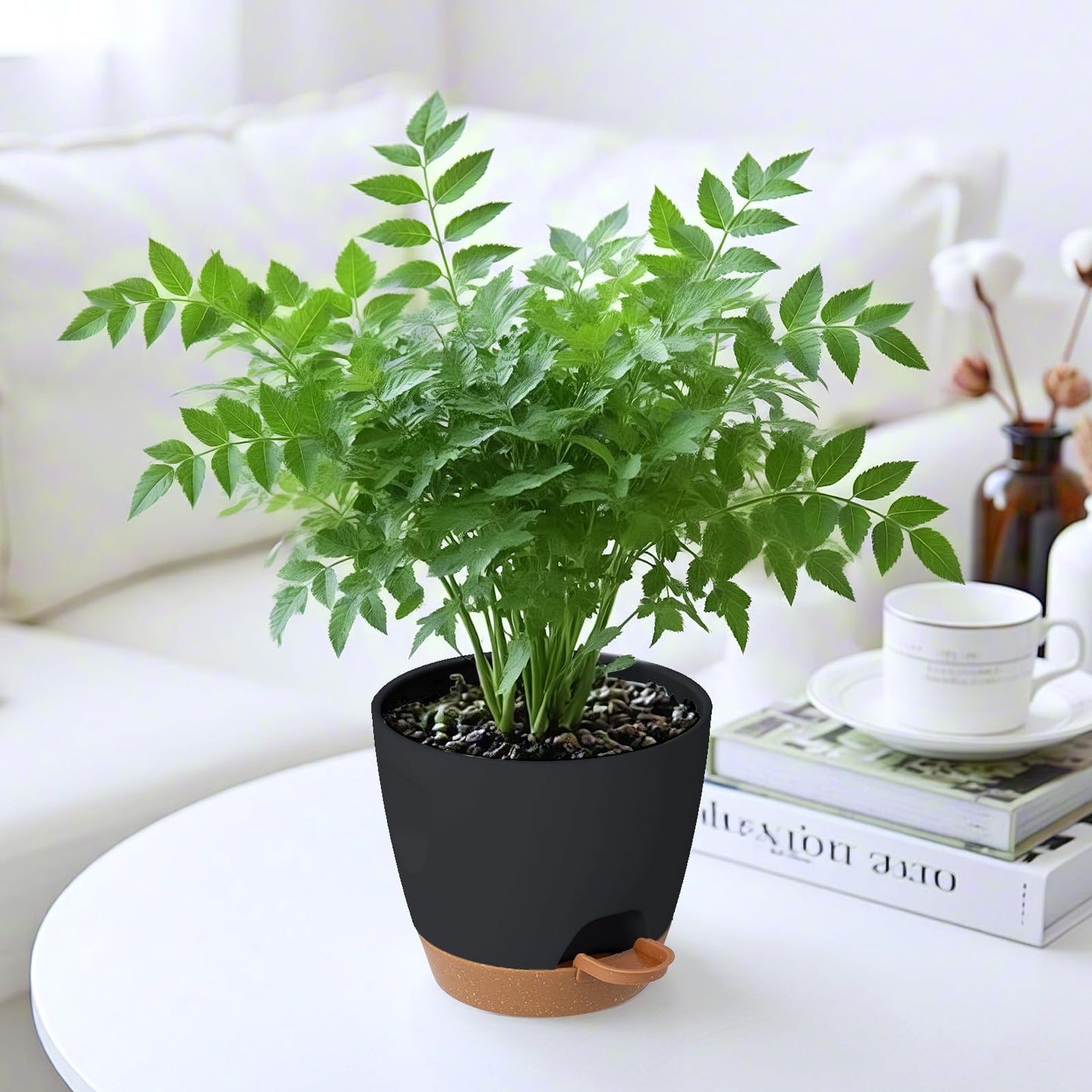 Carsapro 5-Pack Plant Pots with Drainage 7/6.5/6/5.5/5 Inch, Self Watering Pots for Indoor Plants, Planters for Indoor Outdoor Plants, Plastic Flower Pot, Planter for Indoor Outdoor (Black)