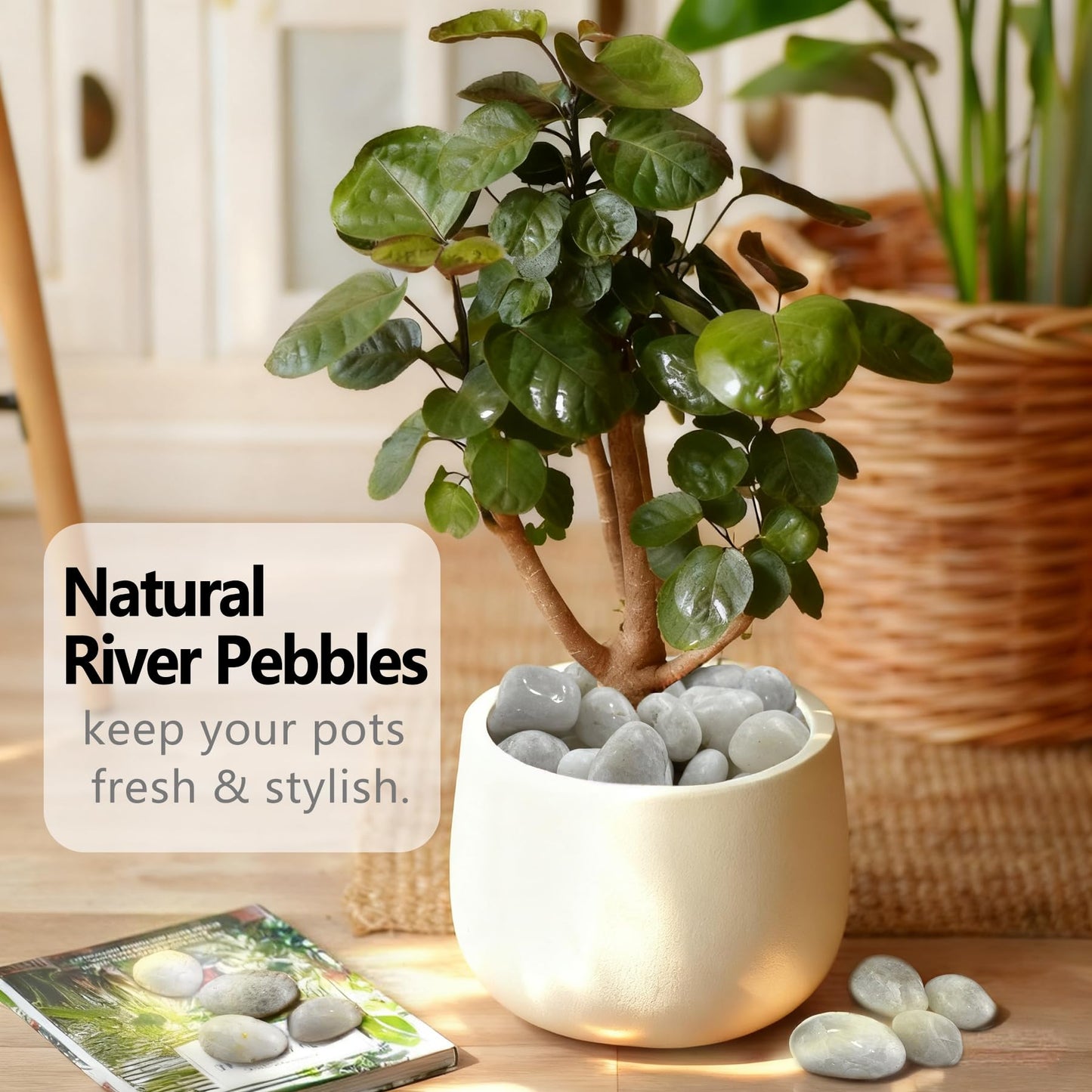 Garrdeen 5LB White River Rocks, High Polished 1–2 inch Decorative Pebbles for Indoor Plants, Aquarium & Fish Tank Rocks, Garden Landscaping Stones, Vase Fillers, Lava Rocks for Plants & Pathway Decor