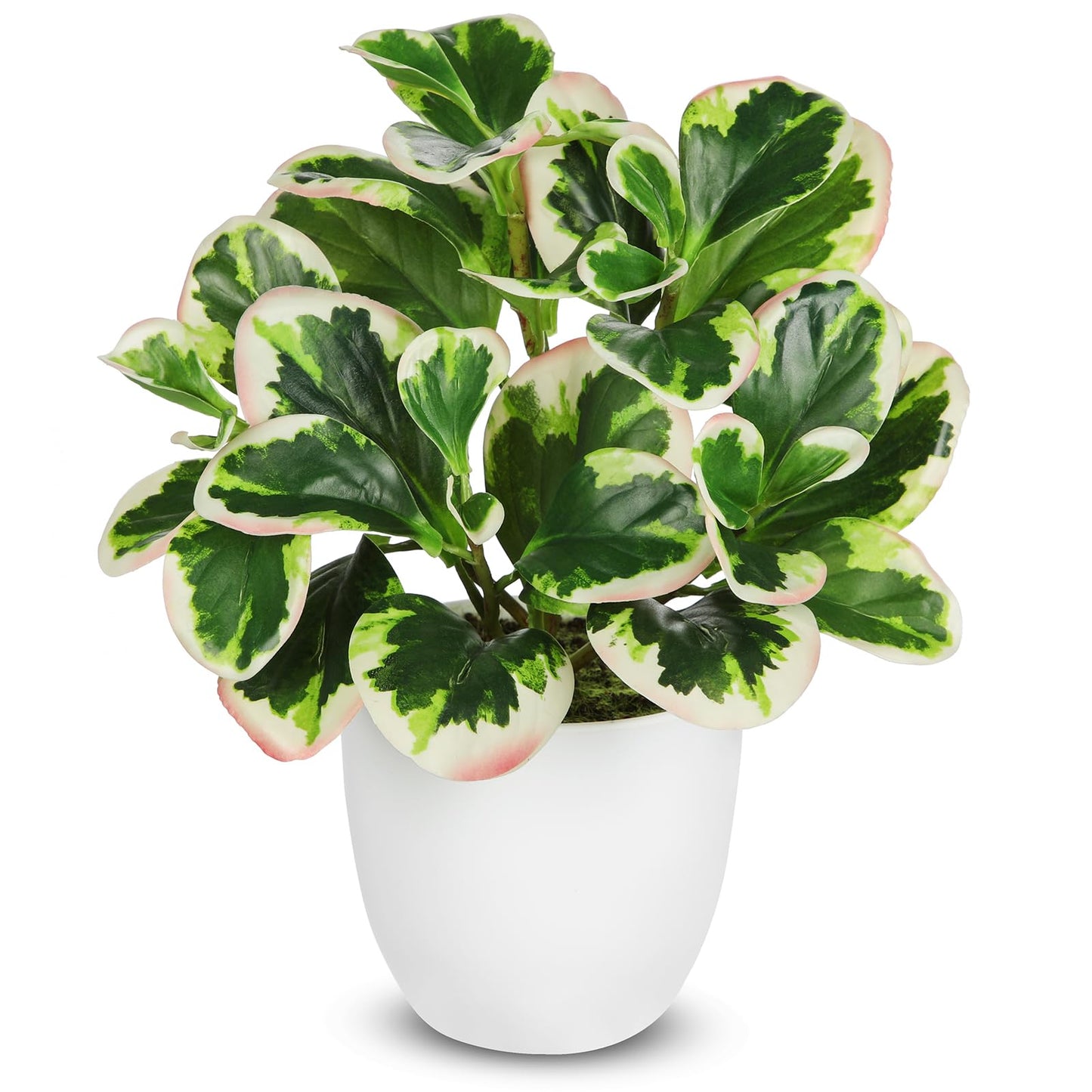 Briful Fake Plants in White Pot, Artificial Potted Plant for Home Farmhouse Table Decor, Faux Plants Indoor for Coffee Table Entryway Living Room Bathroom Decor