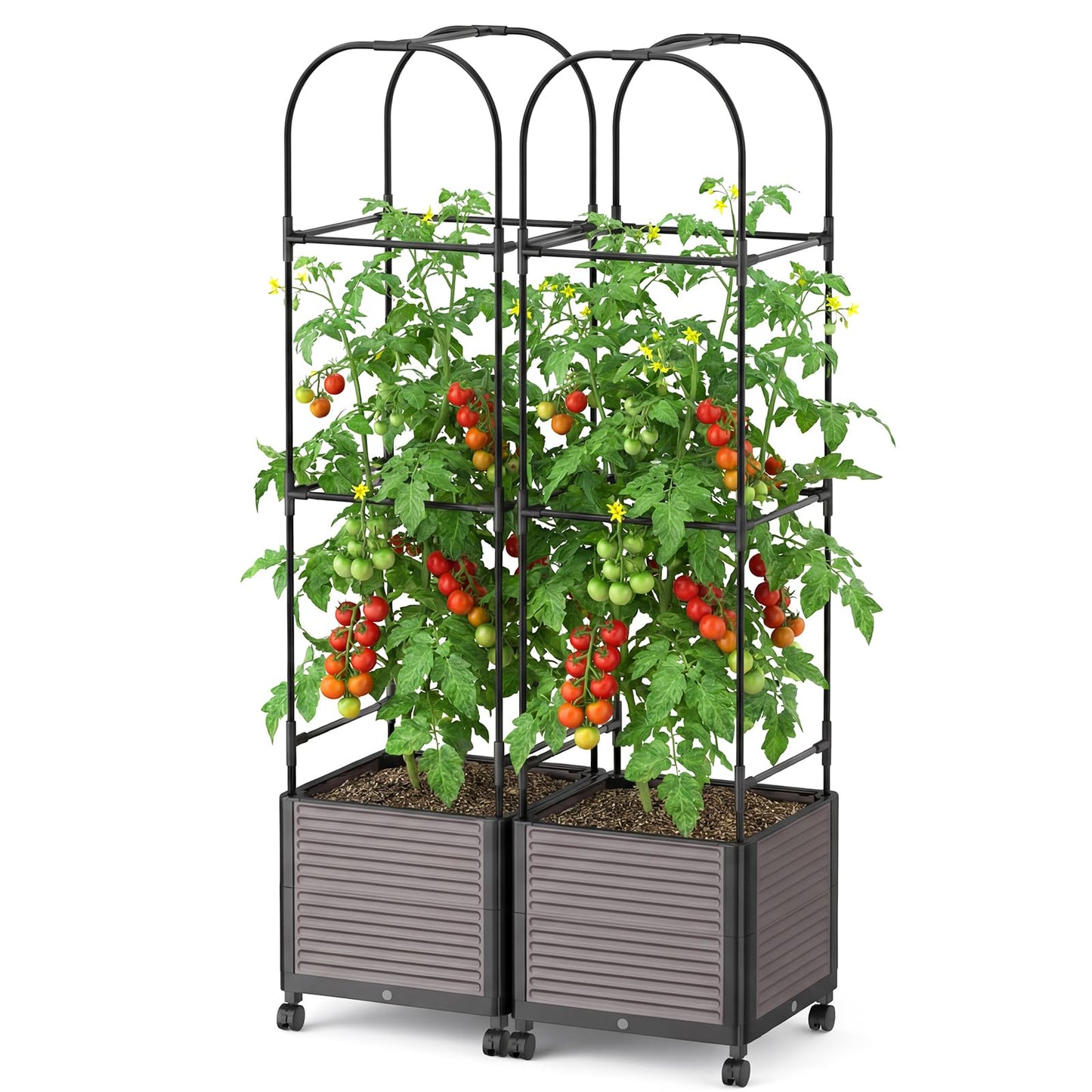 DoCred 60" H Raised Garden Bed Planter Box with Wheels, 2 Pack Tomato Cage Planter Raised Garden Bed with Trellis for Climbing Vegetables Plants Tomato Cage, Indoor Outdoor Use