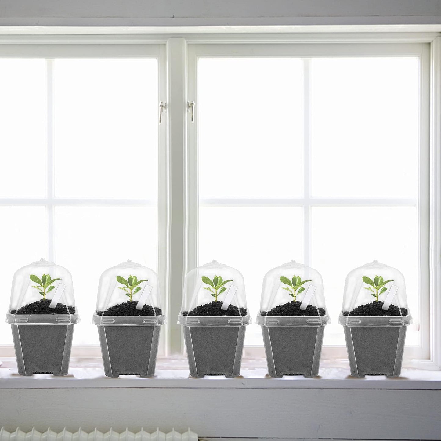EBaokuup 50 Pcs Clear Plant Nursery Pots with Humidity Dome-4" Reusable Plastic Gardening Pot with Labels-Small Seed Starting Pots for Seedlings,Vegetables,Succulents,Cuttings