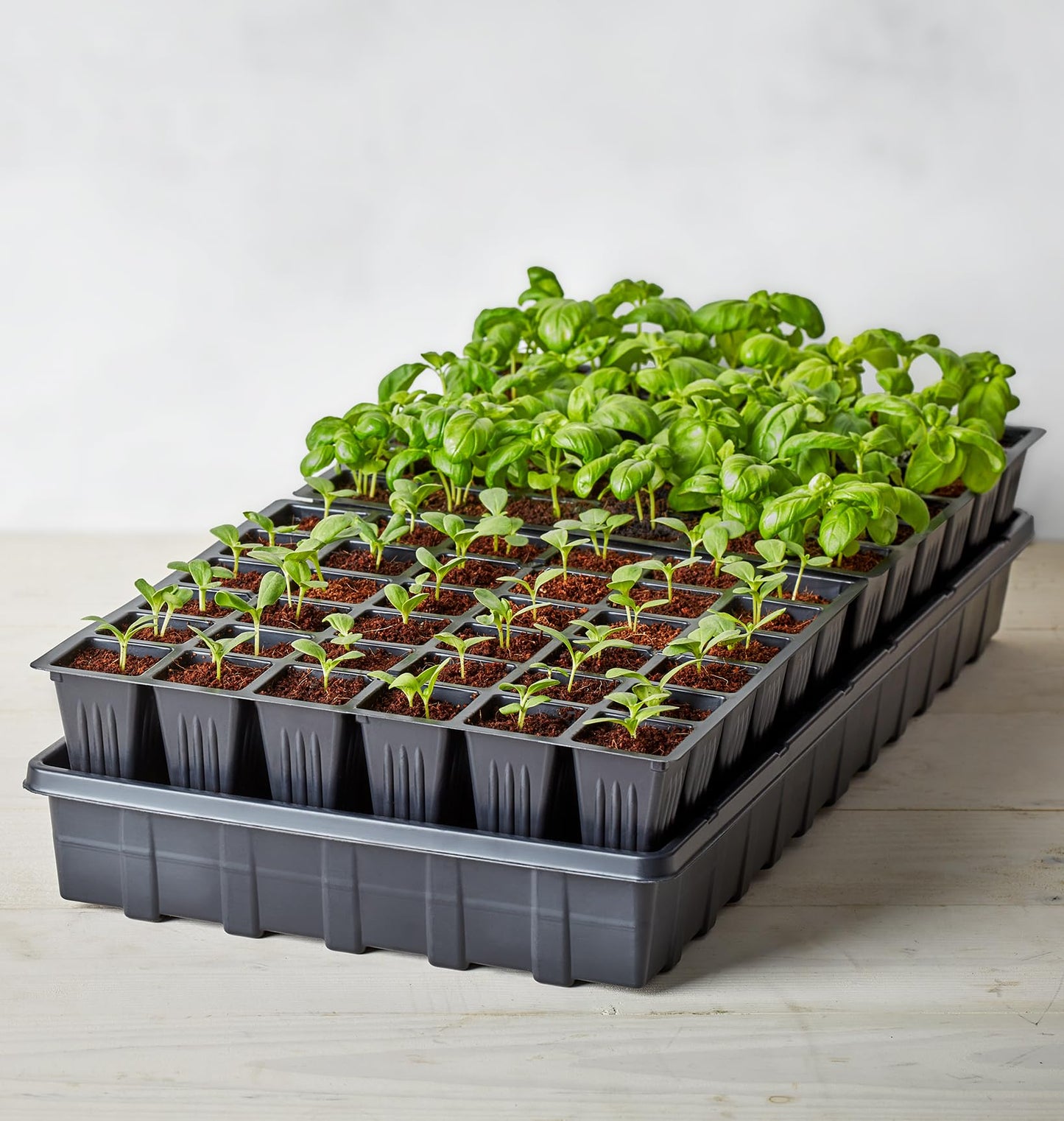 Burpee Self-Watering Seed Starter Tray, 72 Cells