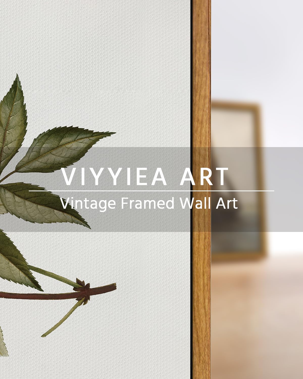 VIYYIEA Vintage Framed Canvas Wall Art Prints, Sambucus Racemosa Botanical Plant Bathroom Art Painting, Rustic Farmhouse Plant Pictures for Bedroom Living Room Bathroom, 9"x11"