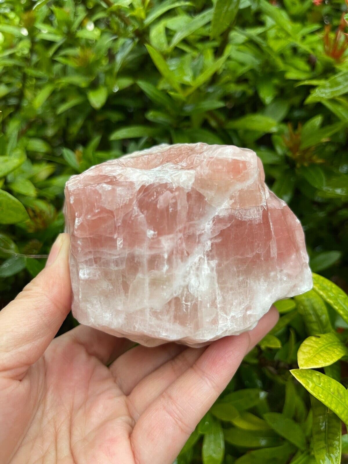 GAF TREASURES XL Strawberry Calcite Stone, 3-4" Natural Strawberry, Raw Calcite Healing Crystal (Strawberry Calcite, 0.5-1 lb)