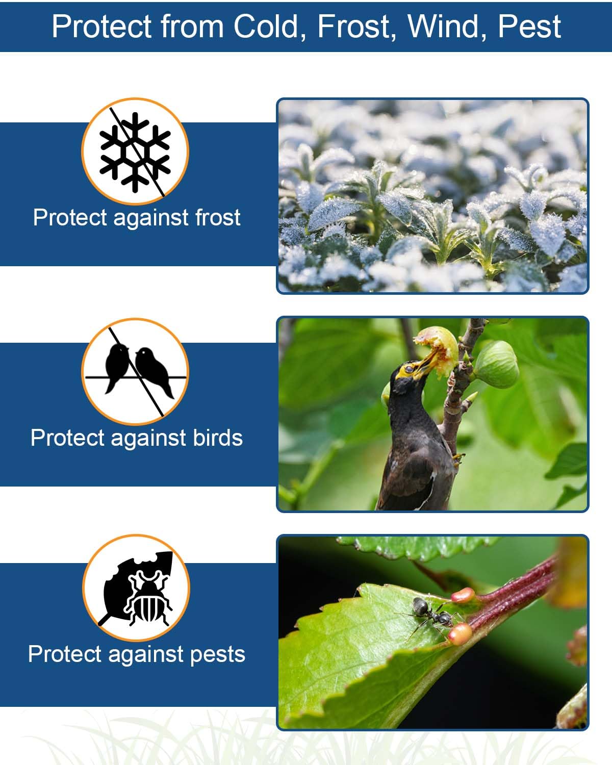 Homoda Plant Covers Freeze Protection, 10 ft x 30 ft 1.2oz Frost Blankets for Outdoor Plants in Winter, Floating Row Cover for Vegetable Garden, Frost Cloth Plant Freeze Protection
