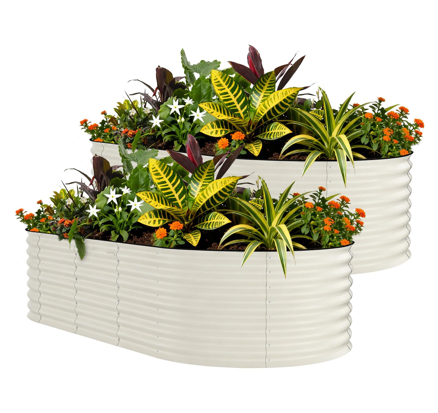 Garvee 2 Pack 8x4x1.5ft Galvanized Raised Garden Bed Kit, Oval Metal Planter Boxes with Anti-Cut Safety Edges, Rust-Resistant Deep Root Planters for Outdoor Vegetables, Flowers, Herbs, Beige