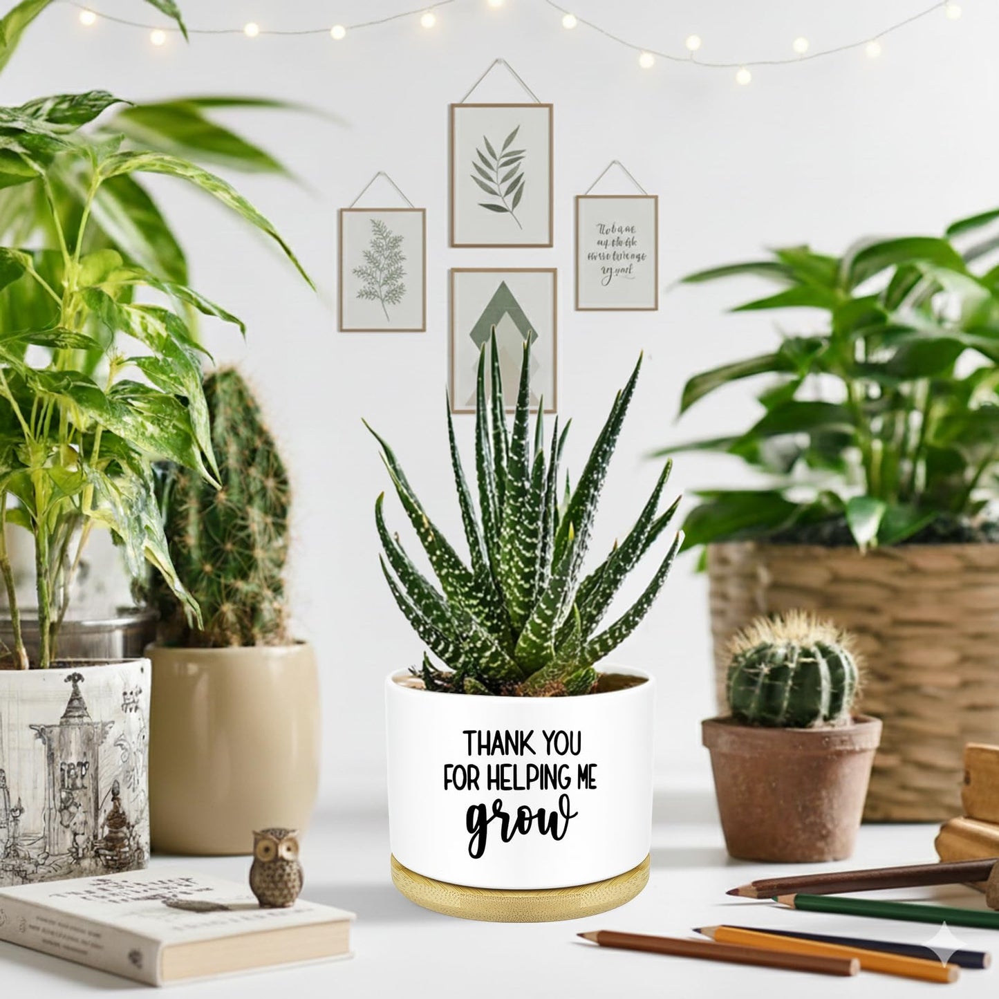 Thank You for Helping Me Grow Plant Pots Funny Small Succulent Pots Gifts Cute Planters Flower Pots Ceramic Pot for Plants Cactus, Thank You Plant Pot for House Indoor Garden, Plant Not Included