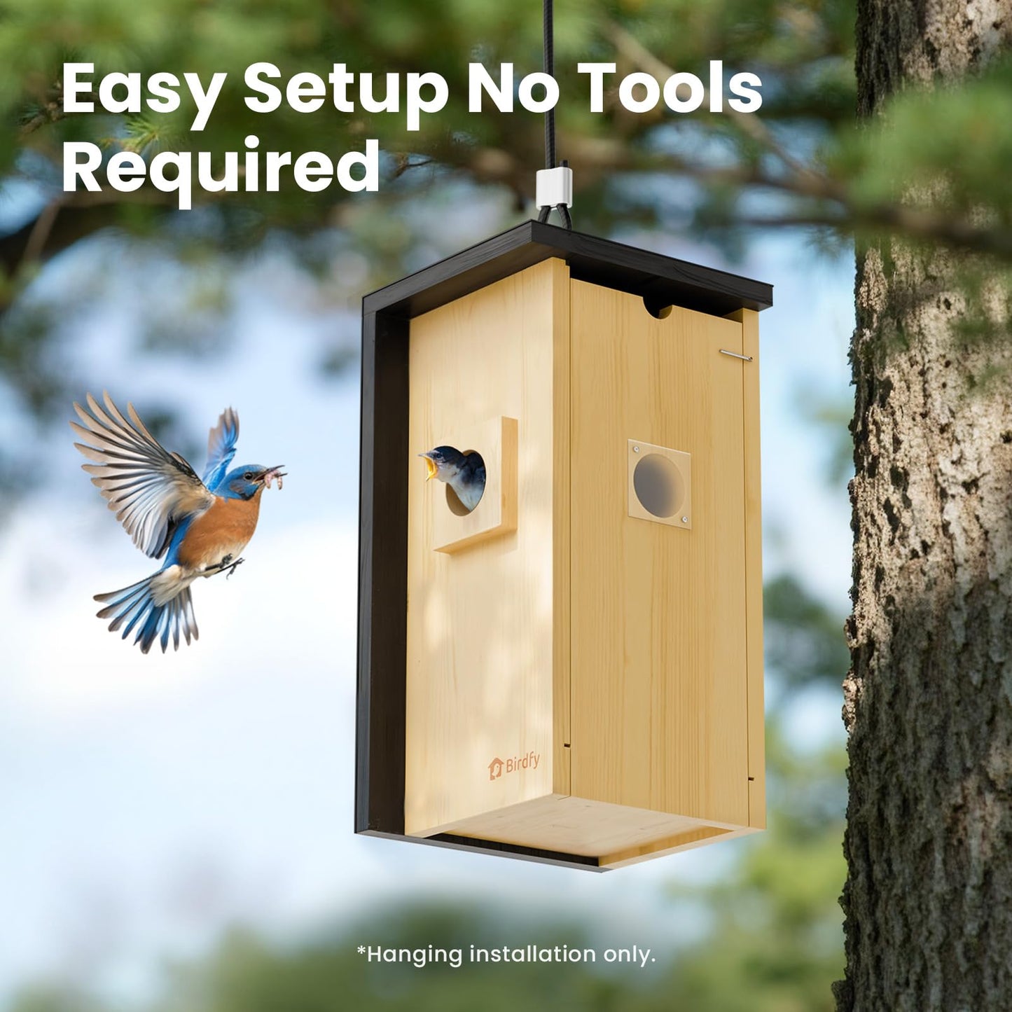 Birdfy Bird House with Camera Solar Powered with Iron Guard for Outside, AI Identify, 1080P HD & Night Vision for Bluebird Finch Swallow Wren Chickadee Nesting Watching, Auto Detect & Notify