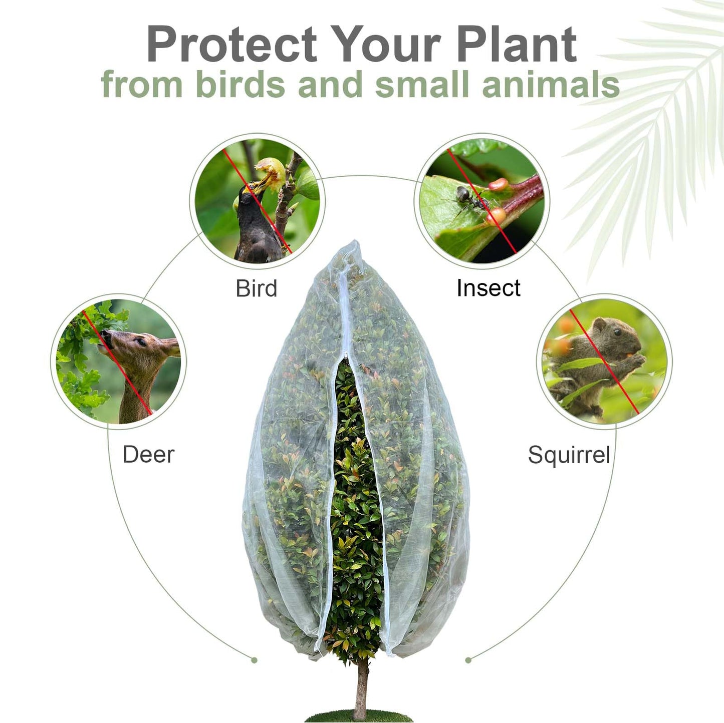 Homoda Fruit Tree Netting Cover with Zipper & Drawstring, 2 Packs 6ft x 6ft Insect Bird Barrier Netting for Garden Protection, Ultra Fine Mesh Garden Netting