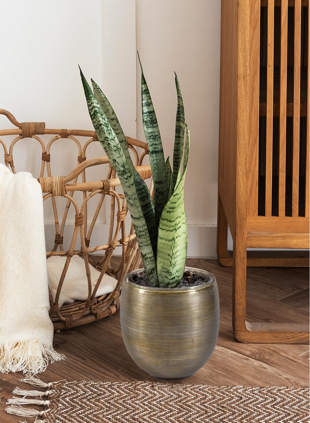Serene Spaces Living Brass-Toned Aluminum Cachepot Planter – Handcrafted Indoor Plant Pot for Home, Office, or Wedding Decor – Metal Planter for Table Centerpieces – Medium, 13" Diameter & 14" Tall