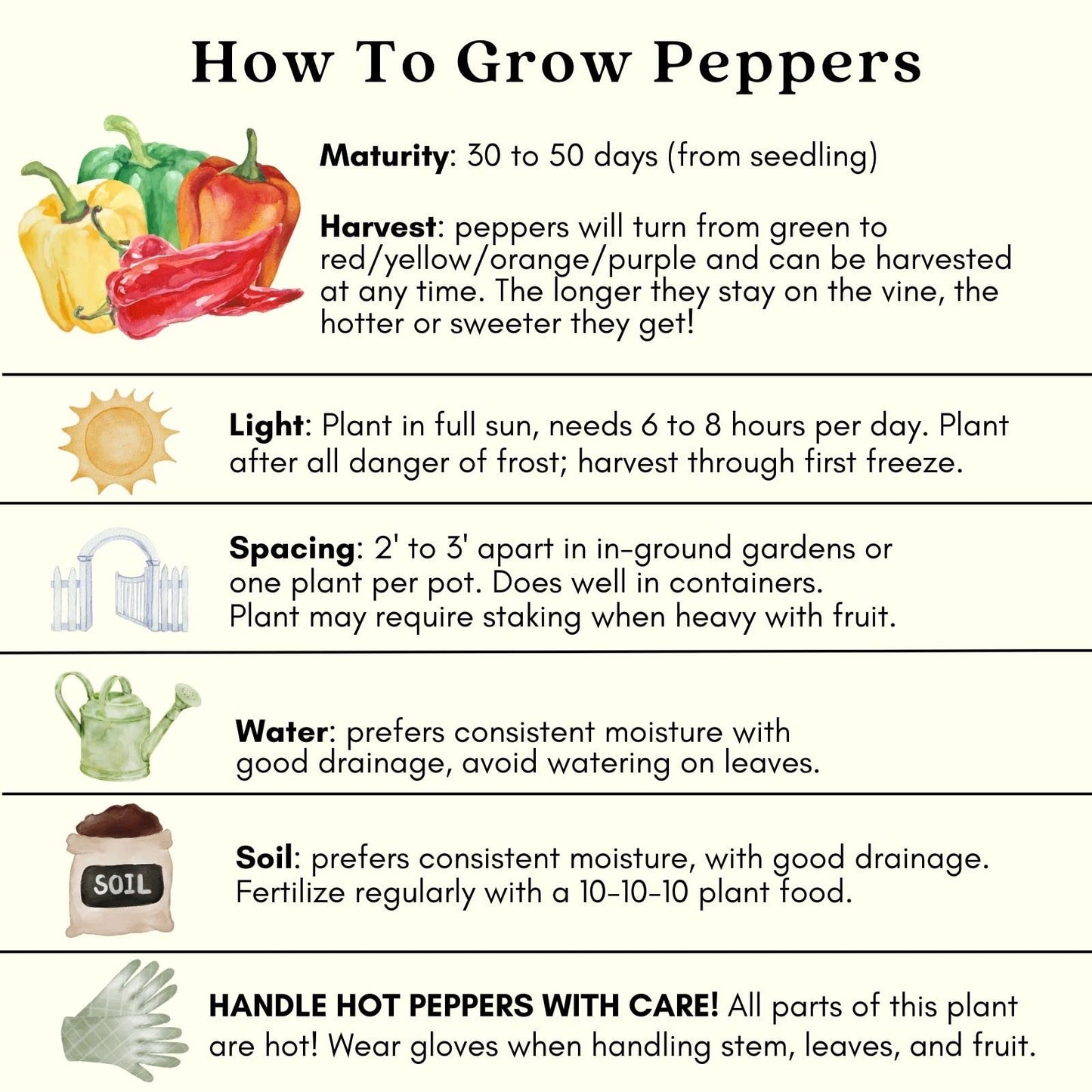 Clovers Garden Jalapeno Megatron Pepper Plants– Two (2) Live Plants – Non-GMO - Not Seeds - Each 4" to 8" Tall – in 4" Inch Pots – Mild Heat, Jumbo Fruit