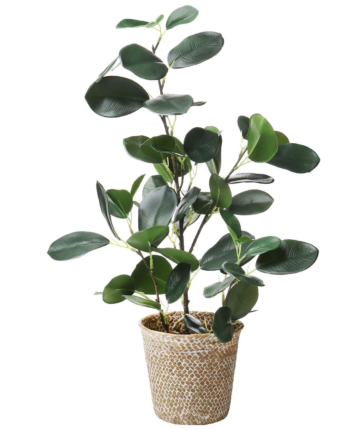SAROSORA Artificial Ficus Tree Small Fake Plants in Weaved Pot 20" Height for Living Room Desktop Decor Indoor Home Office Ins Style (Green, 1)