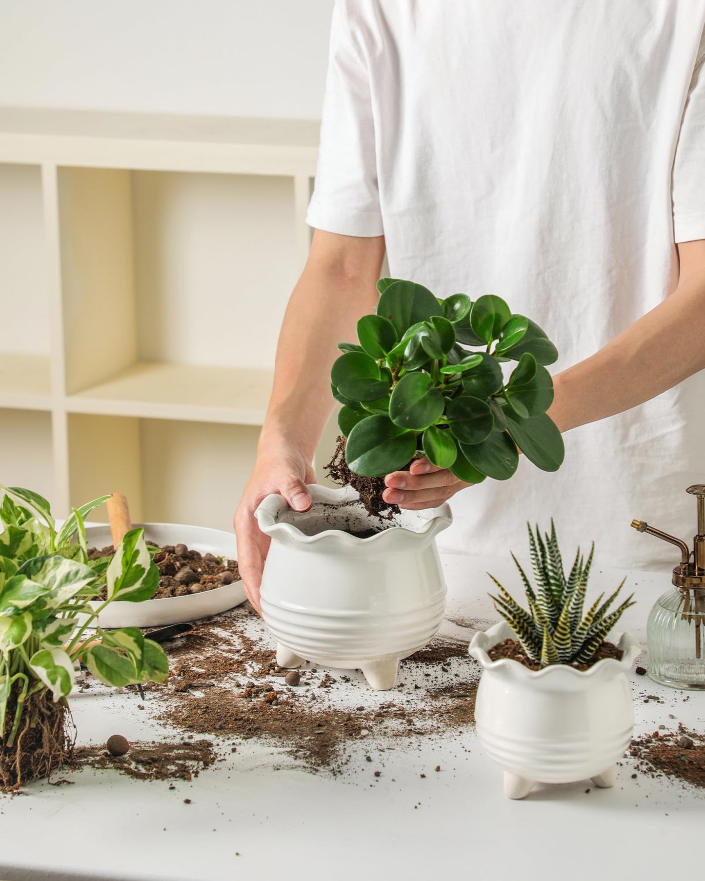 Fayoula Ceramic Planter, 2 Piece Ceramic Planter Set with Drainage Hole for Home and Office, Indoor Plant Potting, Suitable for Succulents, Bonsai, Snake Grass and Money Tree, etc. (White)