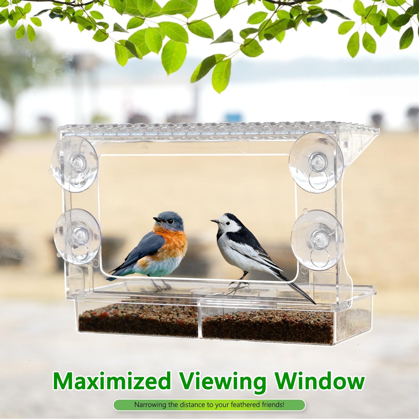 Gbekery Window Bird Feeder for Outdoors with Strong Suction Cups, Acrylic Clear Window Bird Feeders for Viewing with Large Capacity Detachable Seed & Water Tray