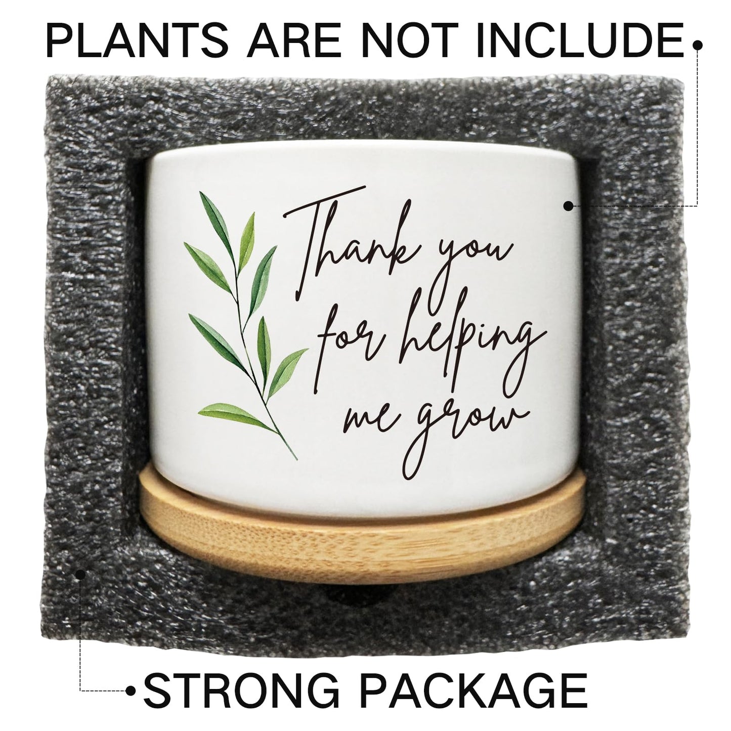 Arosedmo Thank You for Helping Me Grow Succulent Cactus Planter Pots with Bamboo Tray, Office Kitchen Home Windowsill Indoor Tabletop Decor, Gift for Friends Mom Teachers Plant Lovers