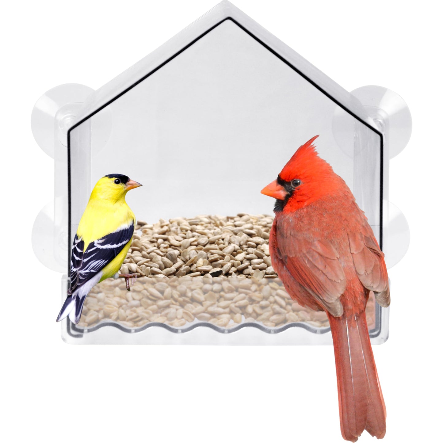Nature’s Way Crystal Window Seed Feeder with 4 Secure Suction Cup Mount, Clear 2-Cup Capacity Hanging Bird Feeder for Close-Up Viewing, 6.5"
