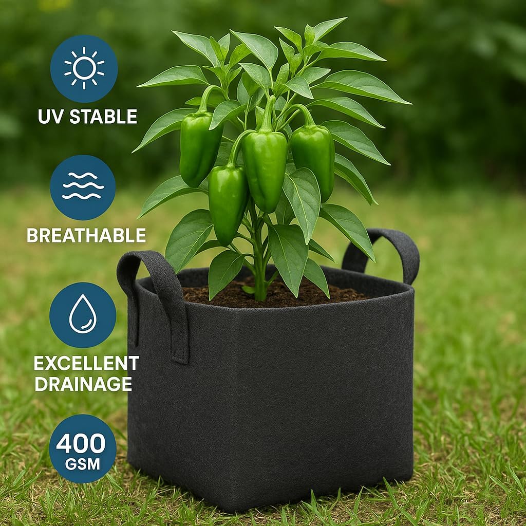 HYK MART Square Geo Fabric Grow Bag 400 GSM Durable Breathable UV Resistant Reusable Plant Container for Herbs, Vegetables Flowers Space Saving Gardening Pack of 2 (15 inch) (Black)