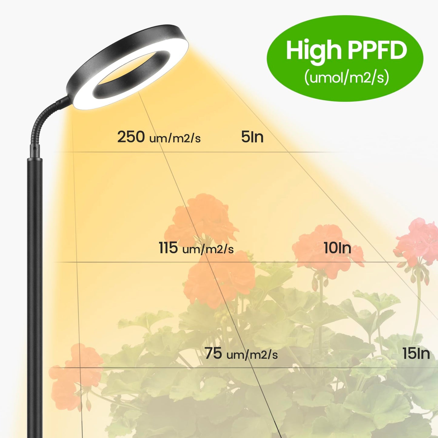MistyJungle Grow Lights for Indoor Plants,Floor Lamp with 63IN Stand,Full Spectrum,10 Dimming,Halo Ring Warm Light, 3/9/12H Timer,Height Adjustable,Metal Stable Base Growing Light for Tall Small Plant