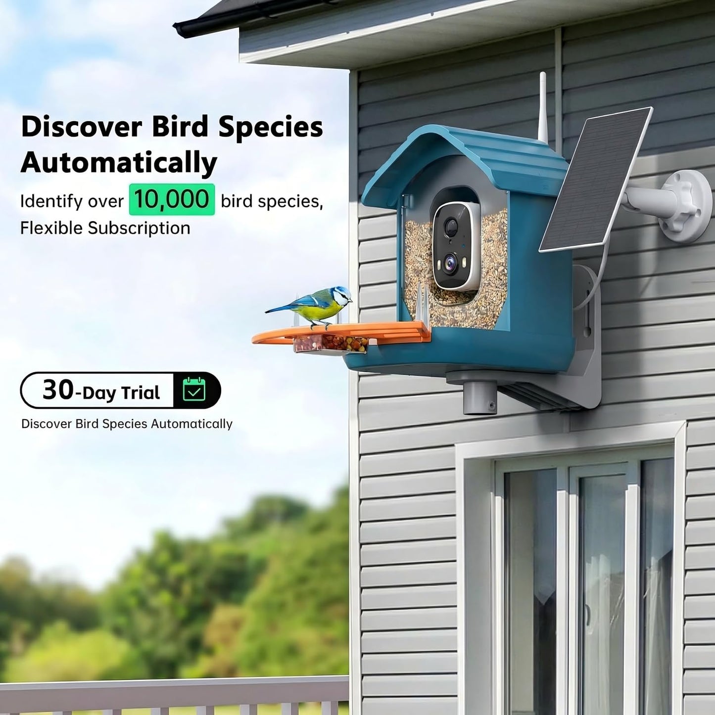 Bird Feeder with Camera, AI Bird Identification, Full HD Live Video, Solar Powered, 2.4Ghz WiFi, Instant Arrival Alerts - Best Gifts for Bird Lover