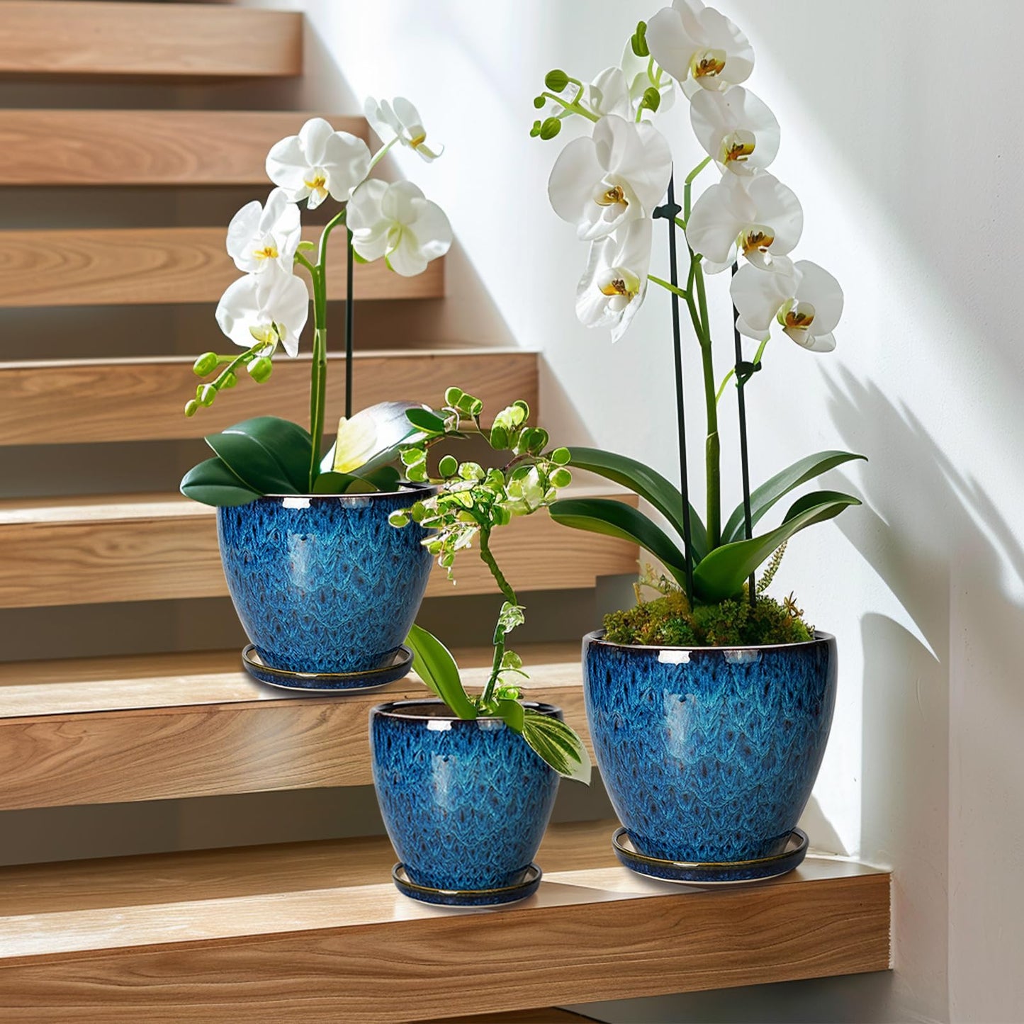 EPFamily Ceramic Plant Pot, 6.3 Inch Ceramic Planter Pot with Drainage Hole and Saucer, Succulent Round Flower Pot for Indoor Plants Outdoor, Blue