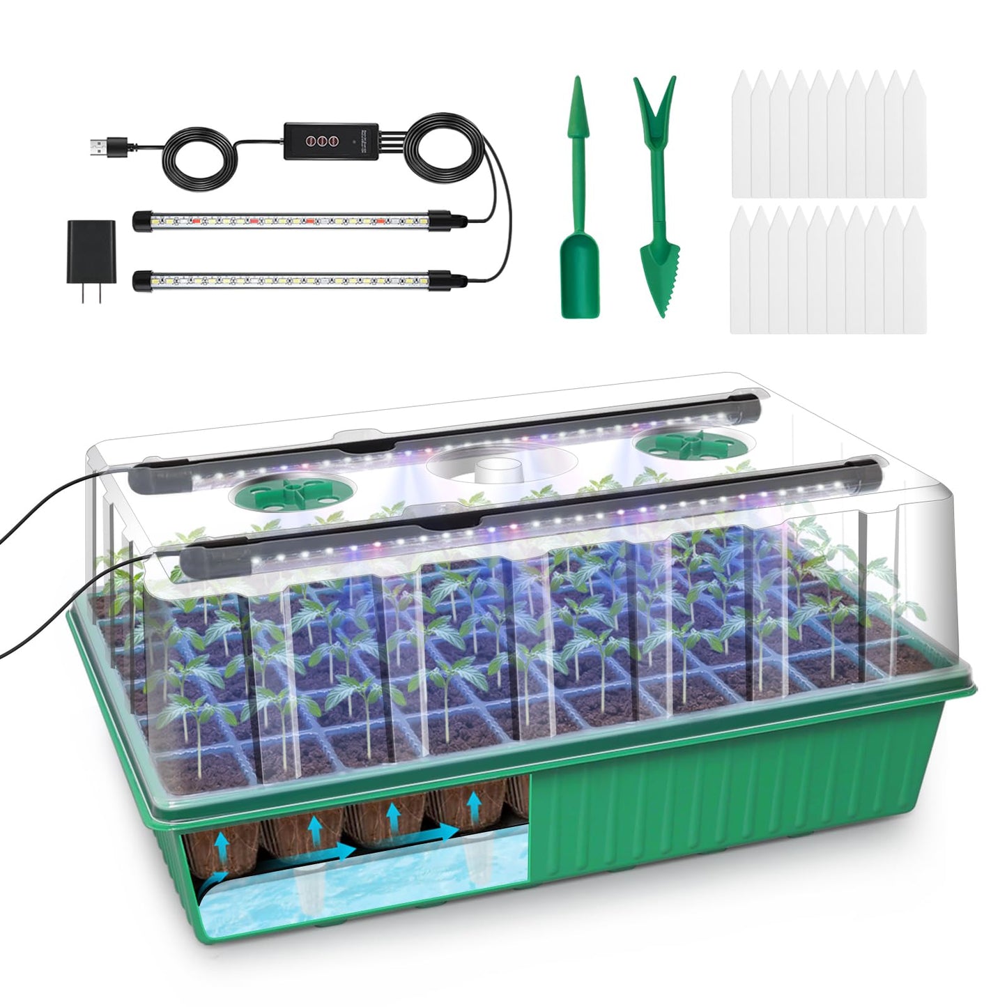 GOOINMILL Self-Watering Seed Starter Tray with Timed Grow Light, 60 Cells Plant Starter Tray Seedling Starter Kit with Humidity Domes Base Indoor Mini Greenhouse Plant Germination Trays
