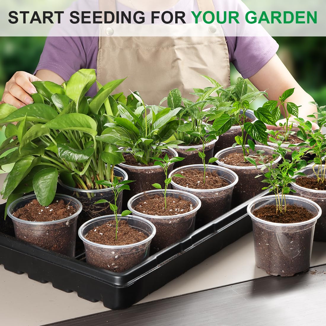 RooTrimmer 100 Pack 4 Inch Clear Plant pots with Drainage Holes, Transparent Nursery Seeding Pots, Flexile Seeds Starter Pots, Seeds Germination (4Inch,100P,Clear)
