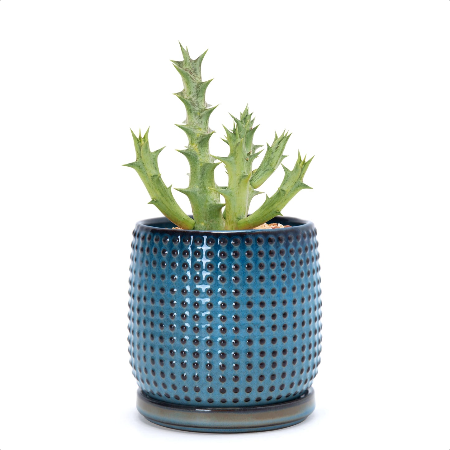 D'vine Dev 4 Inch Ceramic Beaded Stoneware Planter Pot - Flower Pot with Drainage Holes and Saucers for Indoor Succulent Plants or Flowers, Ocean Teal, 27-C-Z-8