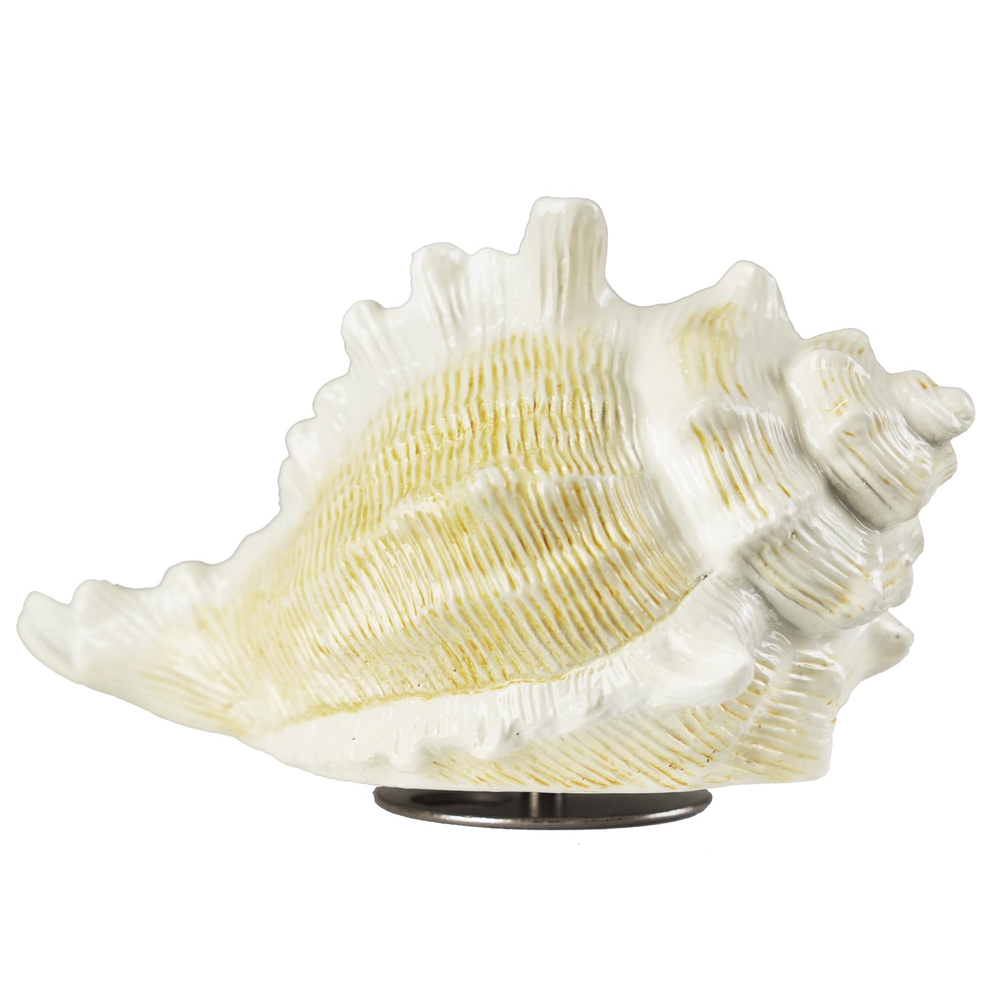Mr.Winder Conch Shell Music Box Plays You are My Sunshine, Ocean Theme Gift for Wife Husband Daughter Grandma Sister Gifts for Birthday Anniversary Christmas Musical Box