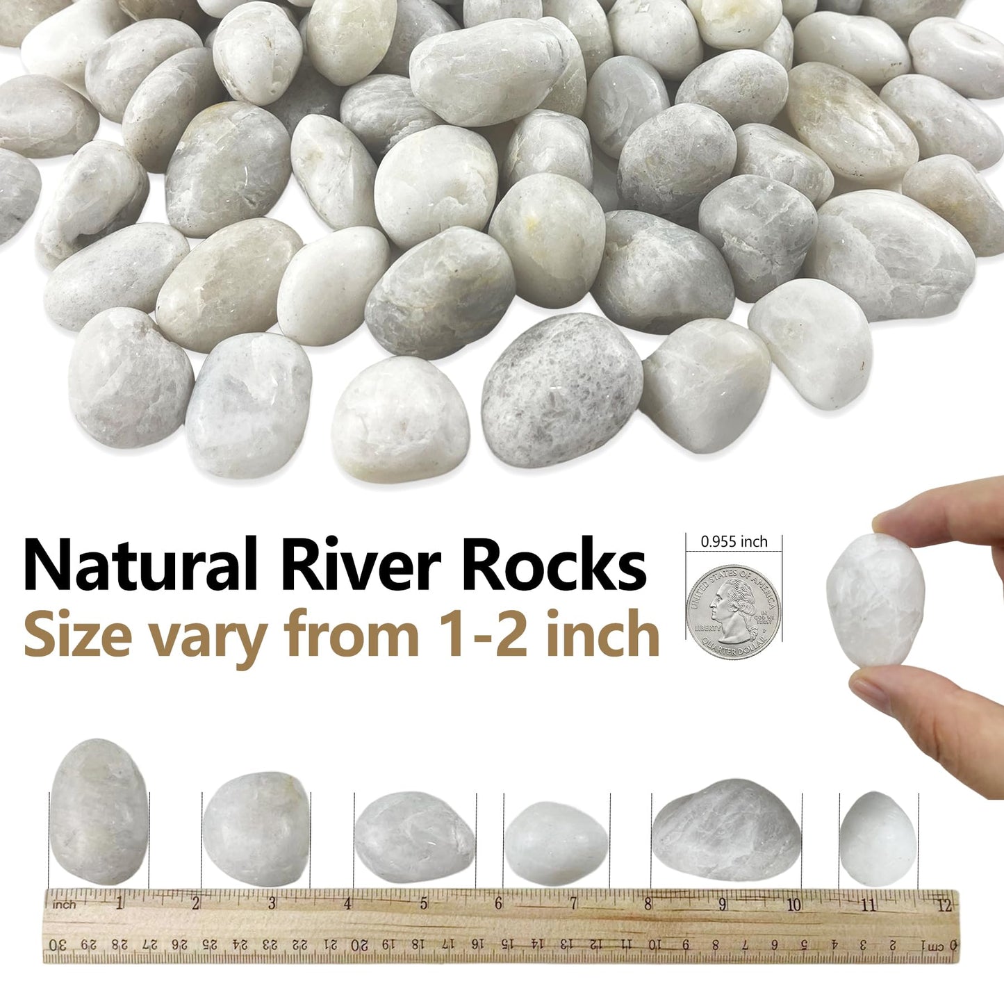 Garrdeen 5LB White River Rocks, High Polished 1–2 inch Decorative Pebbles for Indoor Plants, Aquarium & Fish Tank Rocks, Garden Landscaping Stones, Vase Fillers, Lava Rocks for Plants & Pathway Decor