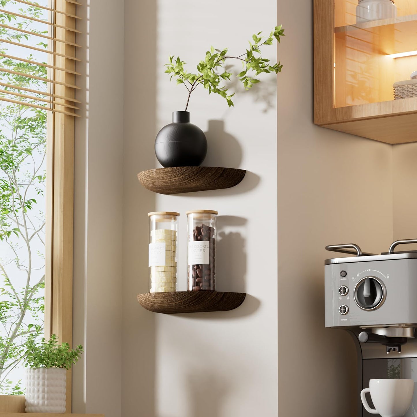QsQueen Solid Wood Half Round Floating Wall Shelves | Elegant Floating Shelves, Elevate Your Space. Perfect for Living Rooms, Bathrooms, Bedrooms, Offices, Children's Rooms
