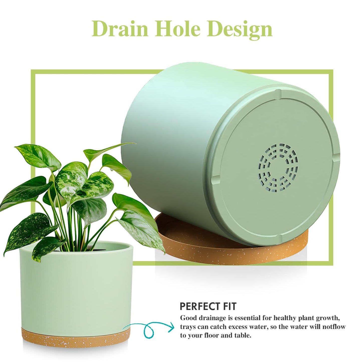 DGJDLWHX Large Plant Pots Set of 3 – 8", 9", 10" Indoor Flower Pots with Drainage Holes and Saucers, Big Planters for Monstera, Fiddle Leaf Fig, Snake Plant – 5 Colors